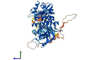 Protein Structure (PS) image for Spleen tyrosine Kinase (SYK) (AA 1-629) protein (His tag) (ABIN7563303)