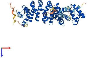 SAAL1 Protein (AA 1-474) (His tag)