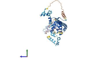 Protein Structure (PS) image for Suppression of Tumorigenicity 13 (ST13) (AA 1-371) protein (His tag) (ABIN7560352)
