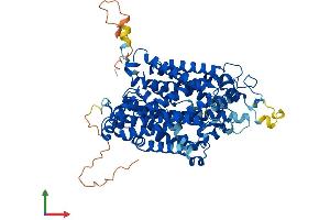 Protein Structure (PS) image for Solute Carrier Family 6 (Neurotransmitter Transporter, GABA), Member 11 (SLC6A11) (AA 1-627) protein (His tag) (ABIN7563121)
