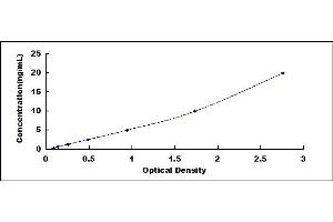 Prolactin ELISA Kit