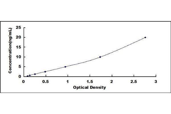 Prolactin ELISA Kit