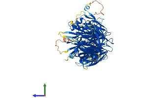 Protein Structure (PS) image for Elongator Acetyltransferase Complex Subunit 2 (ELP2) (AA 1-831) protein (His tag) (ABIN7564800)