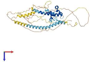 BSDC1 Protein (AA 1-427) (His tag)