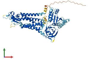 AlphaFold protein structure predicition of Mouse Recombinant Nox1 Protein, UniprotID Q8CIZ9