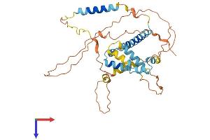 BCL2L12 Protein (AA 1-334) (His tag)