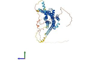 AlphaFold protein structure predicition of Mouse Recombinant Adrb1 Protein, UniprotID P34971