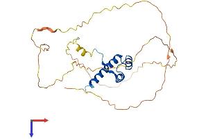 HOXA9 Protein (AA 1-272) (His tag)
