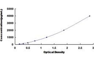 Typical standard curve (Cadherin 13 ELISA Kit)