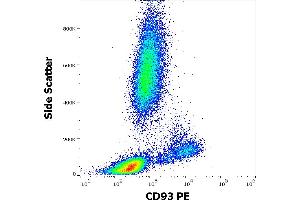 Flow cytometry surface staining pattern of human peripheral whole blood stained using anti-human CD93 (VIMD2) PE antibody (10 μL reagent / 100 μL of peripheral whole blood). (CD93 Antikörper  (PE))