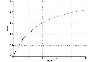 Bone Morphogenetic Protein 3 (BMP3) ELISA Kit