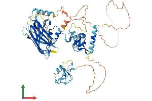 AlphaFold protein structure predicition of Human Recombinant UBOX5 Protein, UniprotID O94941