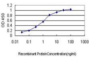 Detection limit for recombinant GST tagged TRPV1 is approximately 0. (TRPV1 Antikörper  (AA 21-124))