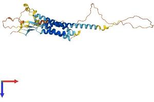 CACNG4 Protein (AA 1-327) (His tag)