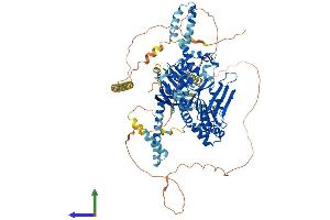 Protein Structure (PS) image for ATP-Binding Cassette, Sub-Family F (GCN20), Member 1 (ABCF1) (AA 1-845) protein (His tag) (ABIN7551797)