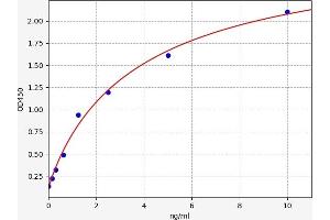 Typical standard curve (CAGE1 ELISA Kit)