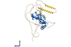 AlphaFold protein structure predicition of Mouse Recombinant Nab1 Protein, UniprotID Q61122