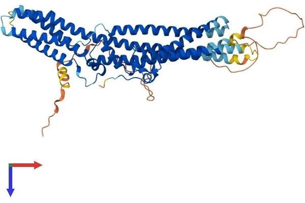 TTYH3 Protein (AA 1-523) (His tag)