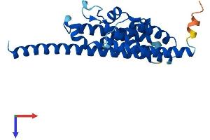 Translin Protein (TSN) (AA 1-228) (His tag)