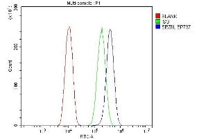 Flow Cytometry analysis of U20S cells using anti-SEZ6L antibody (ABIN7602260). (SEZ6L Antikörper  (AA 662-953))