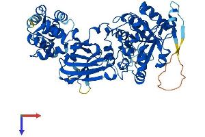 PLCz1 Protein (AA 1-608) (His tag)