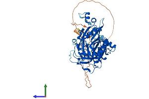 Protein Structure (PS) image for N-Myristoyltransferase 2 (NMT2) (AA 1-498) protein (His tag) (ABIN7549890)