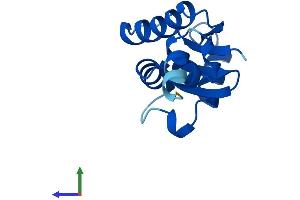 Protein Structure (PS) image for SH3 Domain Binding Glutamic Acid-Rich Protein Like (SH3BGRL) (AA 1-114) protein (His tag) (ABIN7545999)