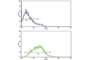 Flow Cytometry (FACS) image for anti-Interleukin 8 (IL8) (AA 72-99) antibody (ABIN3031487)