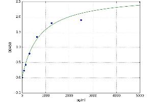 NFKB Activating Protein (NKAP) ELISA Kit