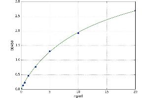 A typical standard curve