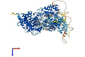PHKA2 Protein (AA 1-1235) (His tag)