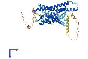 Prokineticin Receptor 1 Protein (PROKR1) (AA 1-393) (His tag)