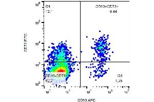 Surface staining (flow cytometry) of human peripheral blood with anti-human CD73 (AD2) FITC. (CD73 Antikörper  (FITC))