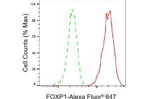 Flow cytometric analysis of FOXP1 expression in HT- cells using FOXP1 antibody (ABIN7798652), 1:2,000). (Rekombinanter FOXP1 Antikörper)