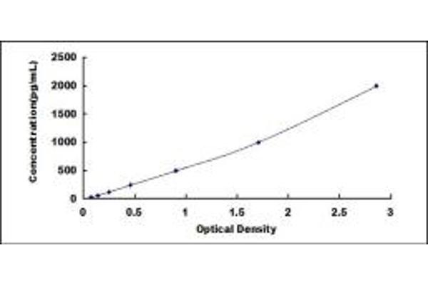 EGFL7 ELISA Kit