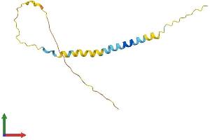 Protein Structure (PS) image for Brain Expressed, X-Linked 1 (BEX1) (AA 1-128) protein (His tag) (ABIN7556230)