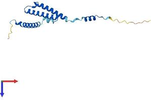 C1D Protein (AA 1-141) (His tag)