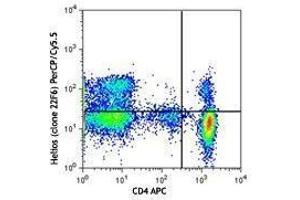 Flow Cytometry (FACS) image for anti-IKAROS Family Zinc Finger 2 (IKZF2) antibody (PerCP-Cy5.5) (ABIN2660194)