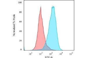 Flow Cytometric Analysis of paraformaldehyde-fixed Raji cells using CD45 Mouse Monoclonal Antibody (111-1C5) followed by Goat anti- Mouse- IgG-CF488 (Blue); Isotype Control (Red). (CD45 Antikörper)