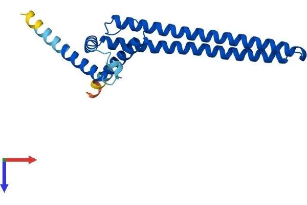 DGCR6 Protein (AA 1-198) (His tag)