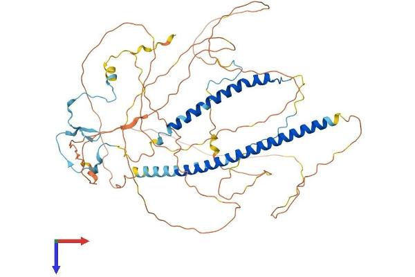MSL1 Protein (AA 1-616) (His tag)