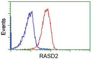 Image no. 2 for anti-RASD Family, Member 2 (RASD2) antibody (ABIN1500697) (RASD2 Antikörper)