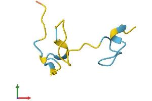AlphaFold protein structure predicition of Human Recombinant MT1DP Protein, UniprotID A1L3X4