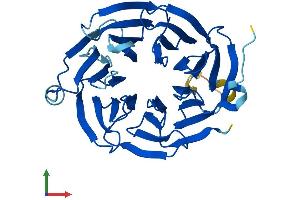 Protein Structure (PS) image for Eukaryotic Translation Initiation Factor 3, Subunit I (EIF3I) (AA 1-325) protein (His tag) (ABIN7561826)