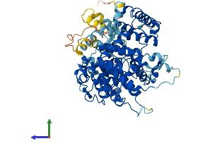 AlphaFold protein structure predicition of Mouse Recombinant Pls1 Protein, UniprotID Q3V0K9