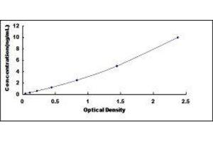 SH3 Domain Binding Glutamic Acid-Rich Protein Like (SH3BGRL) ELISA Kit