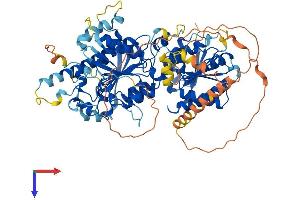 UTP25/DIEXF Protein (AA 1-756) (His tag)