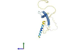 Protein Structure (PS) image for MAX Interactor 1 (MXI1) (AA 1-228) protein (His tag) (ABIN7549655)