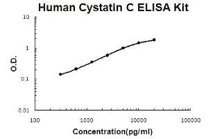 Human Cystatin C PicoKine ELISA Kit standard curve