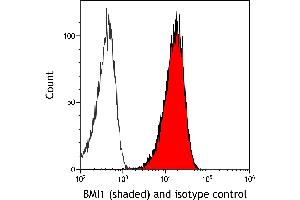 Flow Cytometry (FACS) image for anti-BMI1 Polycomb Ring Finger Oncogene (BMI1) (AA 250-300) antibody (ABIN7455106) (Rekombinanter BMI1 Antikörper  (AA 250-300))